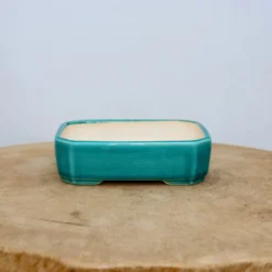 5-Inch Glazed Yixing Bonsai Pot (No. 2025) 10 5-Inch Glazed Yixing Bonsai Pot (No. 2025) -Home Decor Items Store IMG 51642 44172.1666715100