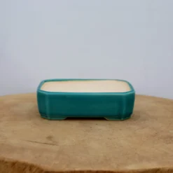 5-Inch Glazed Yixing Bonsai Pot (No. 2025) 9 5-Inch Glazed Yixing Bonsai Pot (No. 2025) -Home Decor Items Store IMG 51652 08393.1666715100