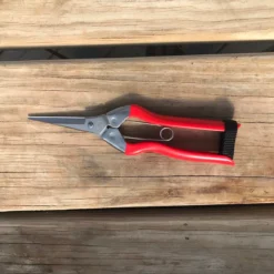 Koshiji Trimming And ThinningShears -Home Decor Items Store IMG 5271 20698.1598563597