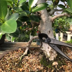 Yoshiaki Round-Blade / Spherical Concave Cutter -Home Decor Items Store IMG 5282 66631.1623079290