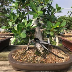 Yoshiaki Round-Blade / Spherical Concave Cutter -Home Decor Items Store IMG 5283 10836.1623079290