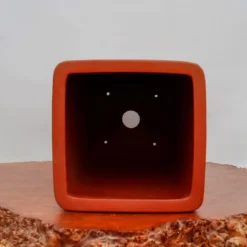 9" Etched Cascade Yixing Bonsai Pot (No. 2239) 9 9" Etched Cascade Yixing Bonsai Pot (No. 2239) -Home Decor Items Store IMG 53292 62337.1673634007