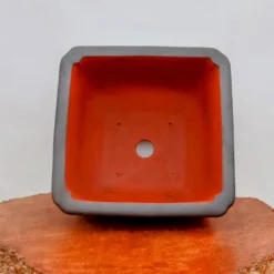 15" Etched Yixing Bonsai Pot (No. 2222) -Home Decor Items Store IMG 53393 21890.1673634518