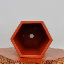 13" Etched Cascade Yixing Bonsai Pot (No. 2236) -Home Decor Items Store IMG 53752 67209.1673635606 1