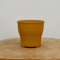 4" Etched Yixing Bonsai Pot (No. 2164) 10 4" Etched Yixing Bonsai Pot (No. 2164) -Home Decor Items Store IMG 54112 67967.1673636704