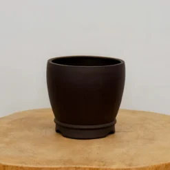 5" Etched Yixing Bonsai Pot (No. 2145) 11 5" Etched Yixing Bonsai Pot (No. 2145) -Home Decor Items Store IMG 54162 13782.1673636912