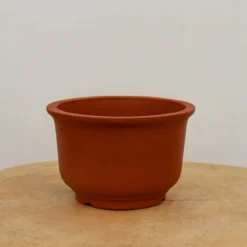 5" Etched Yixing Bonsai Pot (No. 2152) -Home Decor Items Store IMG 54262 99556.1673637286