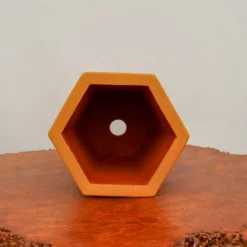 9" Etched Cascade Yixing Bonsai Pot (No. 2194) -Home Decor Items Store IMG 54542 98784.1673638378