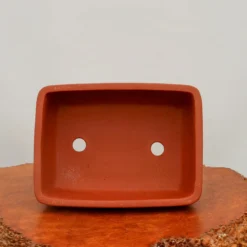 13" Etched Yixing Bonsai Pot (No. 2189) 8 13" Etched Yixing Bonsai Pot (No. 2189) -Home Decor Items Store IMG 55112 59099.1673641558