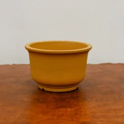 5" Etched Yixing Bonsai Pot (No. 2154) 10 5" Etched Yixing Bonsai Pot (No. 2154) -Home Decor Items Store IMG 55312 33734.1673641822