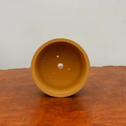 5" Etched Yixing Bonsai Pot (No. 2154) 8 5" Etched Yixing Bonsai Pot (No. 2154) -Home Decor Items Store IMG 55322 17436.1673641822