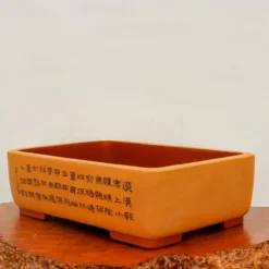 18" Etched Yixing Bonsai Pot (No. 2227)