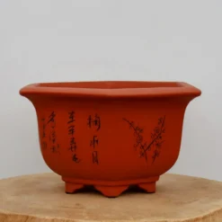 11" Etched Yixing Bonsai Pot (No. 2246) 9 11" Etched Yixing Bonsai Pot (No. 2246) -Home Decor Items Store IMG 56002 68597.1674248746