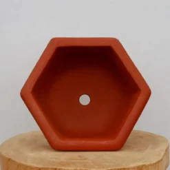 11" Etched Yixing Bonsai Pot (No. 2244) -Home Decor Items Store IMG 56382 53103.1674249817