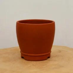 5" Etched Yixing Bonsai Pot (No. 2144) 10 5" Etched Yixing Bonsai Pot (No. 2144) -Home Decor Items Store IMG 57372 74790.1674842701