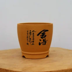 5" Etched Yixing Bonsai Pot (No. 2147)