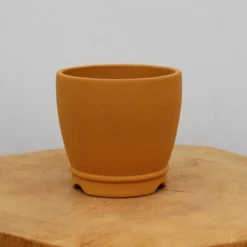 5" Etched Yixing Bonsai Pot (No. 2147) 10 5" Etched Yixing Bonsai Pot (No. 2147) -Home Decor Items Store IMG 57422 72124.1674842817