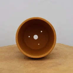 5" Etched Yixing Bonsai Pot (No. 2147) 8 5" Etched Yixing Bonsai Pot (No. 2147) -Home Decor Items Store IMG 57432 47339.1674842803