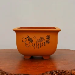 11" Etched Yixing Bonsai Pot (No. 2243) -Home Decor Items Store IMG 57512 60176.1674843274