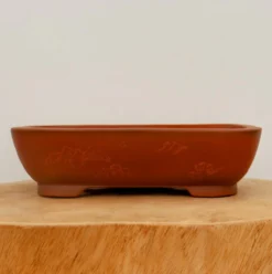 9" Etched Yixing Bonsai Pot (No. 2264) -Home Decor Items Store IMG 58222 15812.1664298502