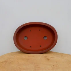 6" Unglazed Yixing Bonsai Pot (No. 2267) -Home Decor Items Store IMG 58412 54660.1664299343