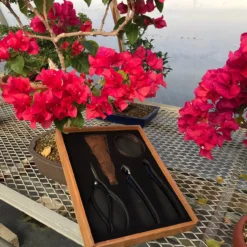 Tinyroots 5 Piece Carbon Steel Pruning Kit -Home Decor Items Store IMG 5842 95964.1633718645