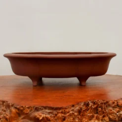 16" Unglazed Yixing Bonsai Pot (No. 2279) 11 16" Unglazed Yixing Bonsai Pot (No. 2279) -Home Decor Items Store IMG 59002 05154.1664301576 1