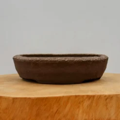 8" Yixing Bonsai And Succulent Planter (No. 2166) -Home Decor Items Store IMG 59152 67781.1664302663