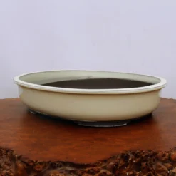 Oval Cream Glazed Japanese Bonsai Pot (No. 1547) 8 Oval Cream Glazed Japanese Bonsai Pot (No. 1547) -Home Decor Items Store IMG 59472 67431.1672758122