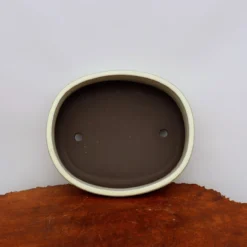 Oval Cream Glazed Japanese Bonsai Pot (No. 1547) 9 Oval Cream Glazed Japanese Bonsai Pot (No. 1547) -Home Decor Items Store IMG 59502 49669.1672758122
