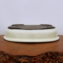 Oval Cream Glazed Japanese Bonsai Pot (No. 1547) 11 Oval Cream Glazed Japanese Bonsai Pot (No. 1547) -Home Decor Items Store IMG 59512 89078.1672758122