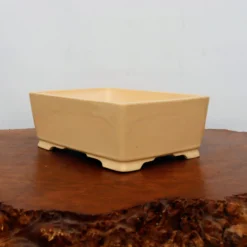 10" Glazed Yixing Bonsai Pot (No. 2335b) -Home Decor Items Store IMG 65632 17189.1666034916