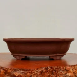 15" Unglazed Yixing Bonsai Pot (No. 2350) 9 15" Unglazed Yixing Bonsai Pot (No. 2350) -Home Decor Items Store IMG 67432 61793.1665864266