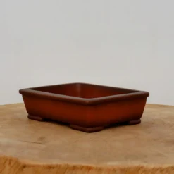 5" Unglazed Yixing Bonsai Pot (No. 2387) -Home Decor Items Store IMG 68742 86752.1666628553