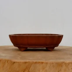 6" Unglazed Yixing Bonsai Pot (No. 2388) -Home Decor Items Store IMG 69132 85413.1666630282