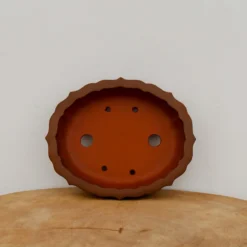 6" Unglazed Yixing Bonsai Pot (No. 2388) -Home Decor Items Store IMG 69162 36331.1666630291