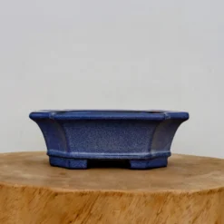 7-Inch Blue Glazed Yixing Bonsai Pot (No. 2411a) 8 7-Inch Blue Glazed Yixing Bonsai Pot (No. 2411a) -Home Decor Items Store IMG 70742 01393.1668016395