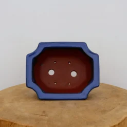 7-Inch Blue Glazed Yixing Bonsai Pot (No. 2411a) 9 7-Inch Blue Glazed Yixing Bonsai Pot (No. 2411a) -Home Decor Items Store IMG 70782 87750.1668016387