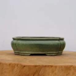 6-Inch Green Glazed Yixing Bonsai Pot (No. 2397e) 8 6-Inch Green Glazed Yixing Bonsai Pot (No. 2397e) -Home Decor Items Store IMG 71642 99252.1667943055