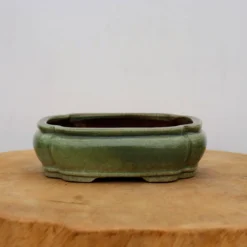 6-Inch Green Glazed Yixing Bonsai Pot (No. 2397e) 10 6-Inch Green Glazed Yixing Bonsai Pot (No. 2397e) -Home Decor Items Store IMG 71652 56741.1667943056