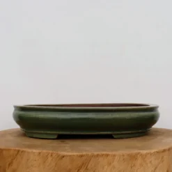 11-Inch Green Glazed Yixing Bonsai Pot (No. 2406b) 8 11-Inch Green Glazed Yixing Bonsai Pot (No. 2406b) -Home Decor Items Store IMG 73672 79334.1667919664