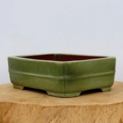 9-Inch Green Glazed Yixing Bonsai Pot (No. 2405d)