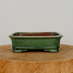 8-Inch Green Glazed Yixing Bonsai Pot (No. 2400b) -Home Decor Items Store IMG 76582 54732.1667845945