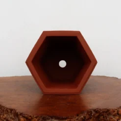 8-Inch Etched Glazed Yixing Bonsai Pot (No. 2425) -Home Decor Items Store IMG 7722 75793.1668094440 1