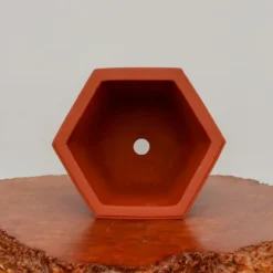 10-Inch Etched Glazed Yixing Bonsai Pot (No. 2424) -Home Decor Items Store IMG 77272 96256.1668094695