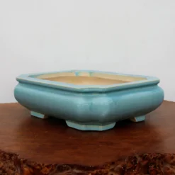 12-Inch Glazed Yixing Bonsai Pot (No. 2322a) 8 12-Inch Glazed Yixing Bonsai Pot (No. 2322a) -Home Decor Items Store IMG 8521 48404.1676995801