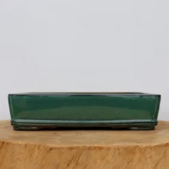 10-Inch Glazed Yixing Bonsai Pot (No. 2315q) -Home Decor Items Store IMG 8649 86864.1677001592