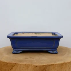 9-Inch Glazed Yixing Bonsai Pot (No. 2311e) -Home Decor Items Store IMG 8740 07281.1677009790