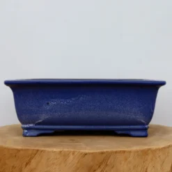 11-Inch Glazed Yixing Bonsai Pot (No. 2304a) 8 11-Inch Glazed Yixing Bonsai Pot (No. 2304a) -Home Decor Items Store IMG 8763 12006.1677010266