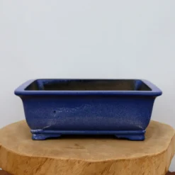 11-Inch Glazed Yixing Bonsai Pot (No. 2304a) 10 11-Inch Glazed Yixing Bonsai Pot (No. 2304a) -Home Decor Items Store IMG 8764 13870.1677010280